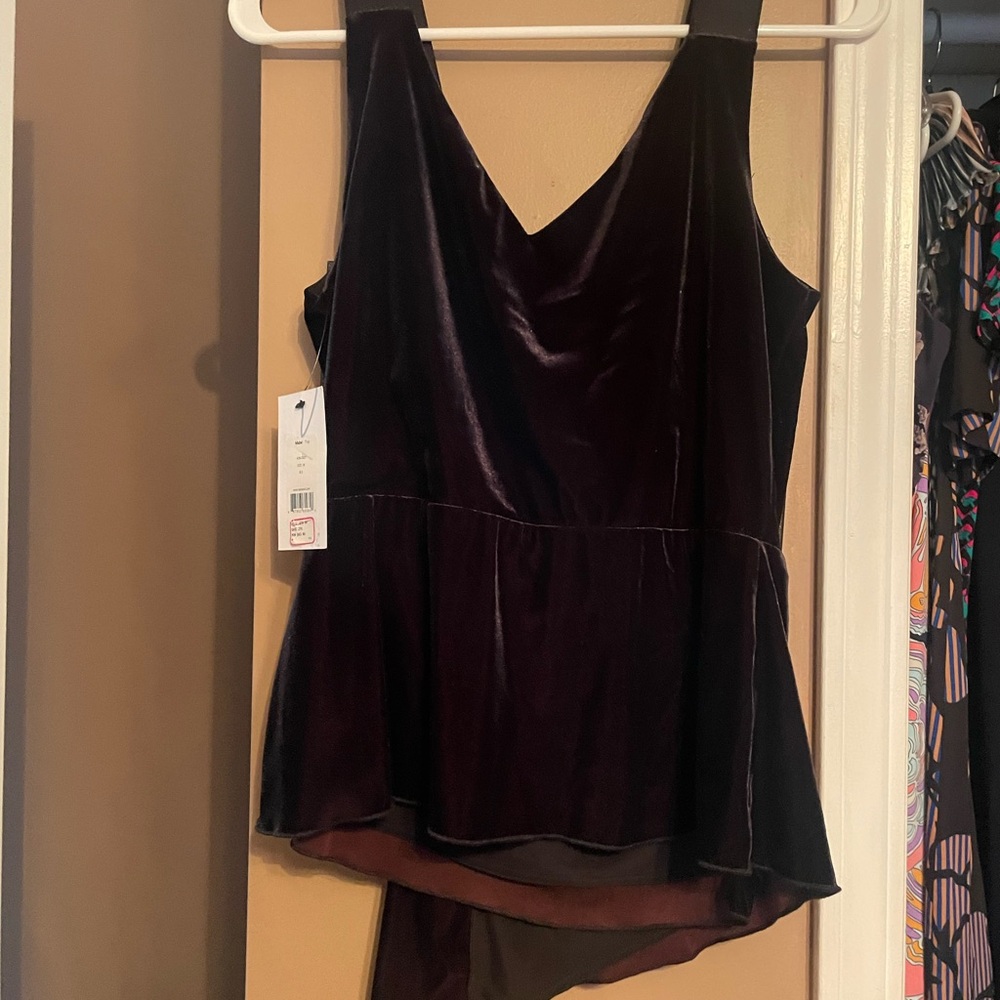 Bailey 44 black Velvet Top